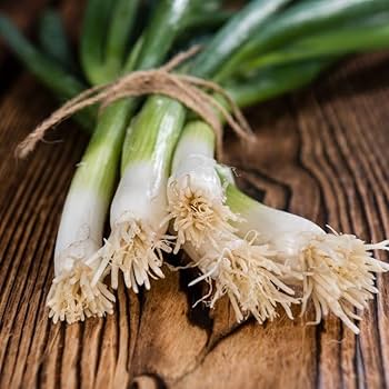 Leek Bunching Vegetable Seeds