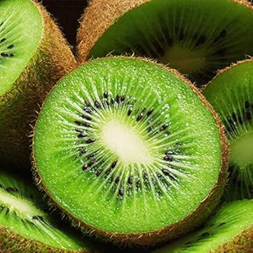 Green Kiwi Fruit Seeds for Planting - Heirloom and Non-GMO Seeds for Planting