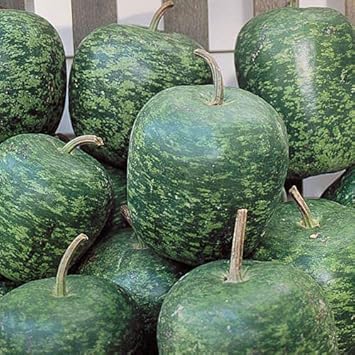 Speckled Apple Fruit Seeds for Planting - Growing Colorful and Flavorful Apples