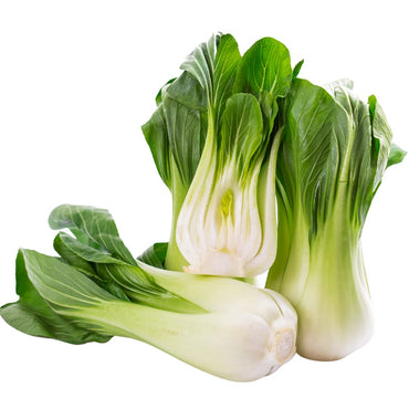 Pak choi vegetable Brassica rapa seeds for planting in kitchen garden or balcony grow trays