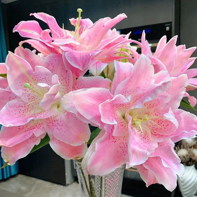 Double Lily Flower Seeds