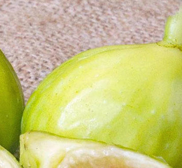 Kadota Fig Seeds for Planting – Heirloom, Non-GMO Fruit Seeds