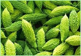 Karela Vegetable Seeds for Planting heirloom & Non-GMO Seeds