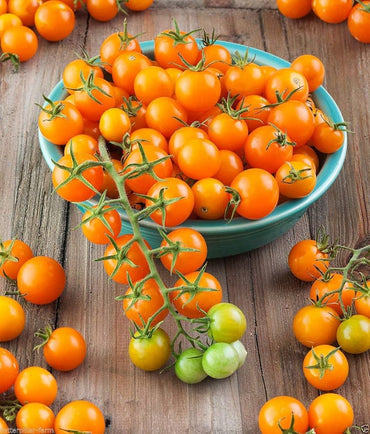 Clementine – Organic Tomato Seed