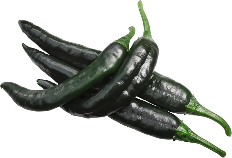 Pasilla Bajio hot pepper seeds (Capsicum annuum) for mild smoky chili flavor