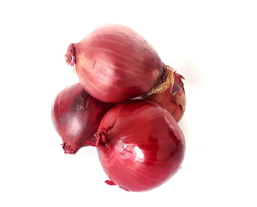 Red Burgundy onion Allium cepa vegetable seeds for planting in home kitchen garden or raised beds