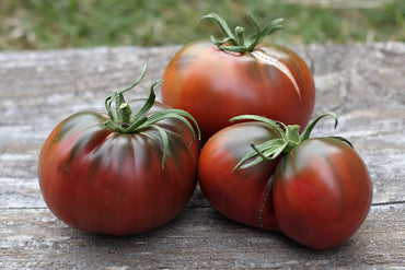 Chocolate Cherry tomato seeds – heirloom variety with sweet dark fruits