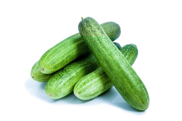 Burpless cucumber Cucumis sativus vegetable seeds for planting in kitchen garden or balcony grow boxes