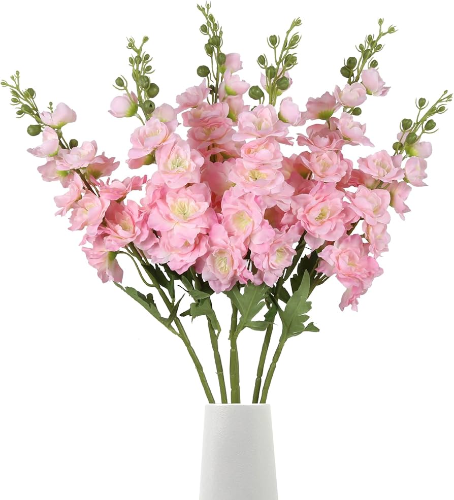Pink Punch Delphinium Flower Seeds