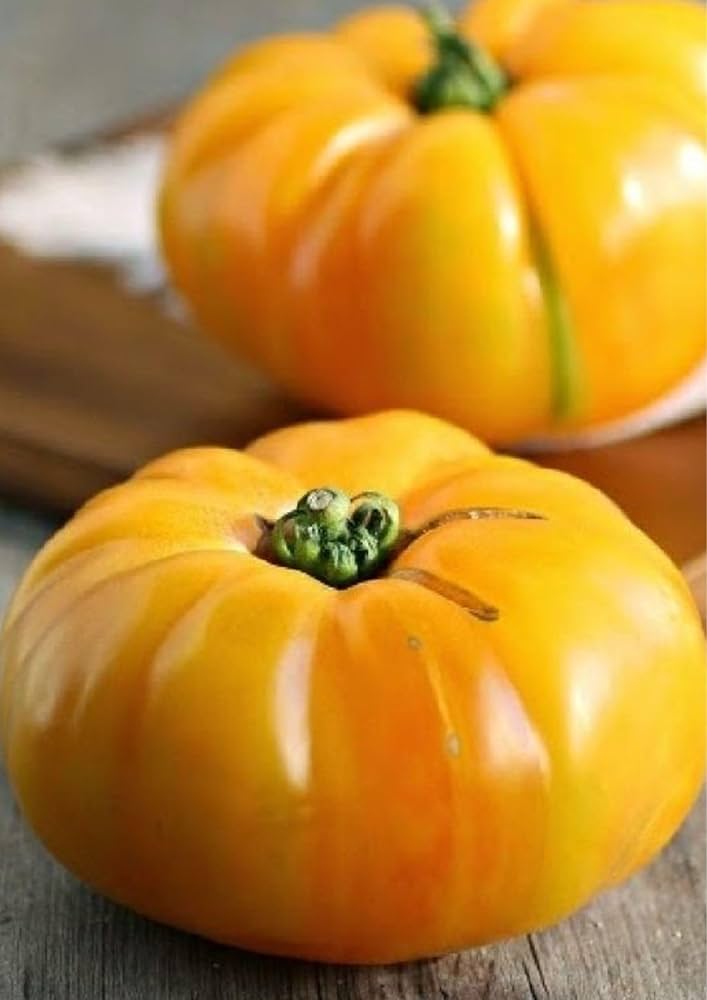 Dixie (Golden Giant beefsteak tomato) for planting in garden