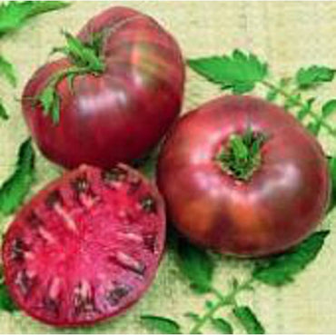 Purple Calabash tomato seeds heirloom ruffled variety with rich flavor