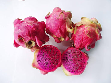 Red Meat Dragon Fruit Juicy Tropical Seeds