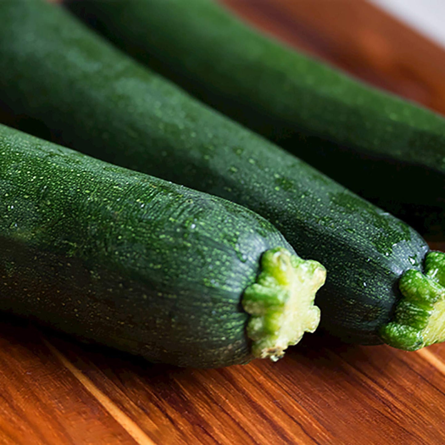 Classic Green Zucchini seeds – fast-growing productive vegetable