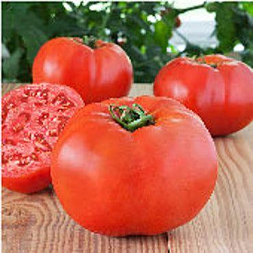 Creole tomato seeds for planting heat-tolerant heirloom flavor