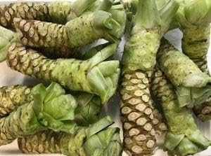 Wasabi Eutrema japonicum seeds for garden planting