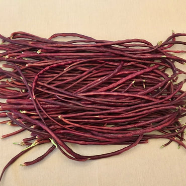 Red Noodle – Bean Seed