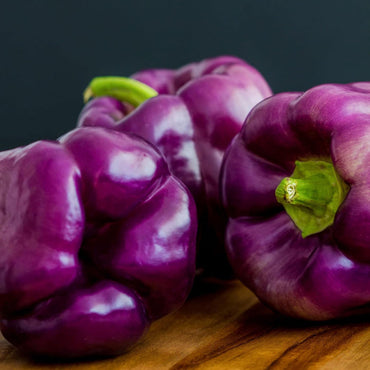 Bell Pepper Vegetable Seeds Purple for Planting-Heirloom & Non-GMO Seeds for planting