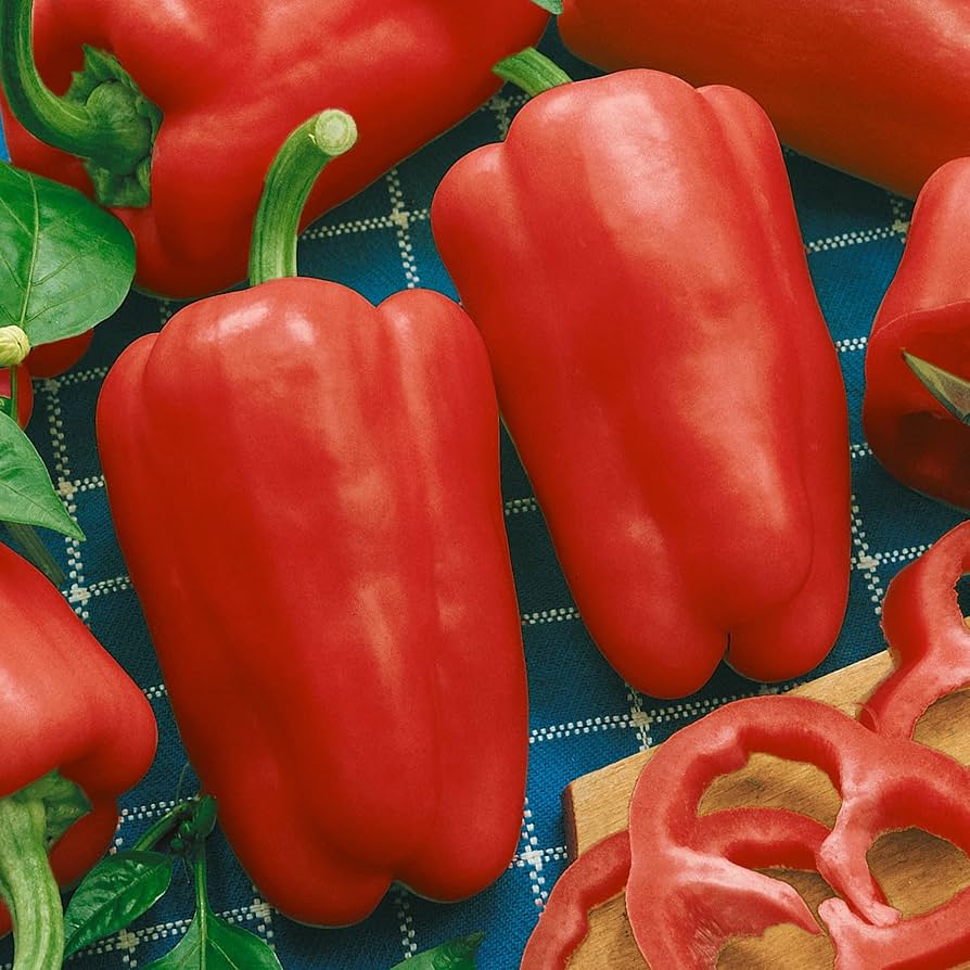Sweet Peperone Lipstick Pepper seeds – Capsicum annuum with sweet crunch