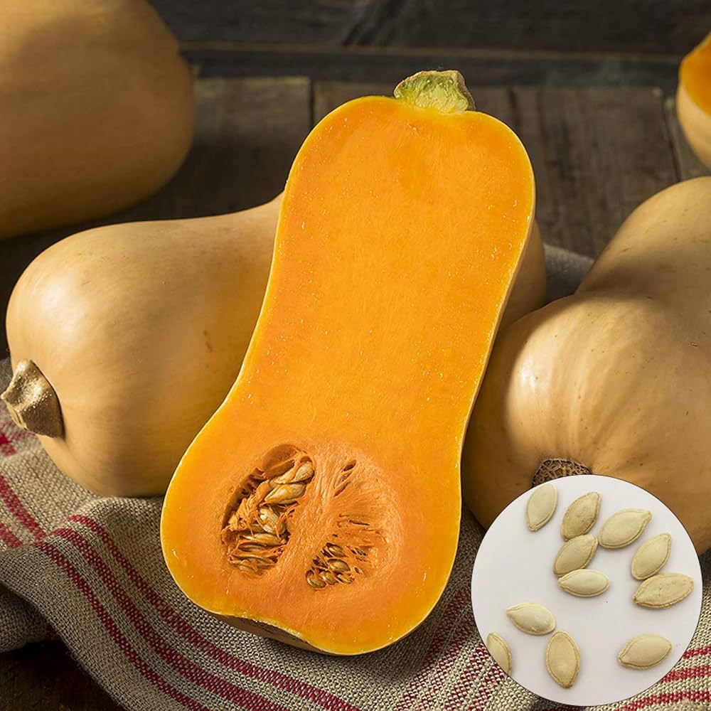 Smoothie Orange Pumpkin seeds – soft-flesh pumpkin ideal for cooking