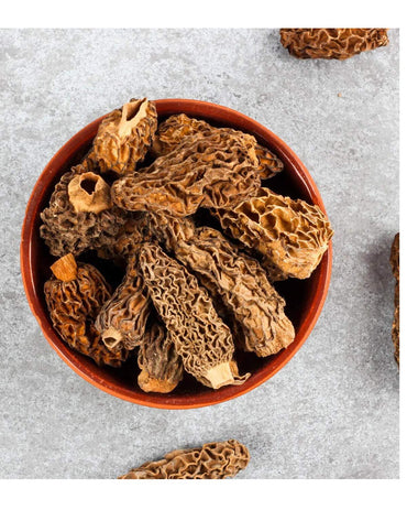 Black Morel Mushroom Gourmet Edible Fungi Seeds