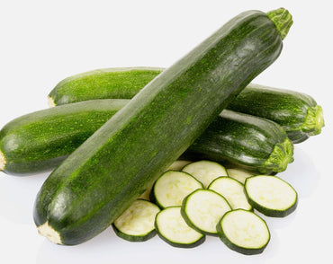 Summer Squash ‘Seneca Zucchini’ seeds – high-yielding productive variety