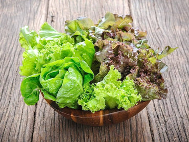 Mesclun Mix Salad Lettuce Fresh Vegetable Seeds