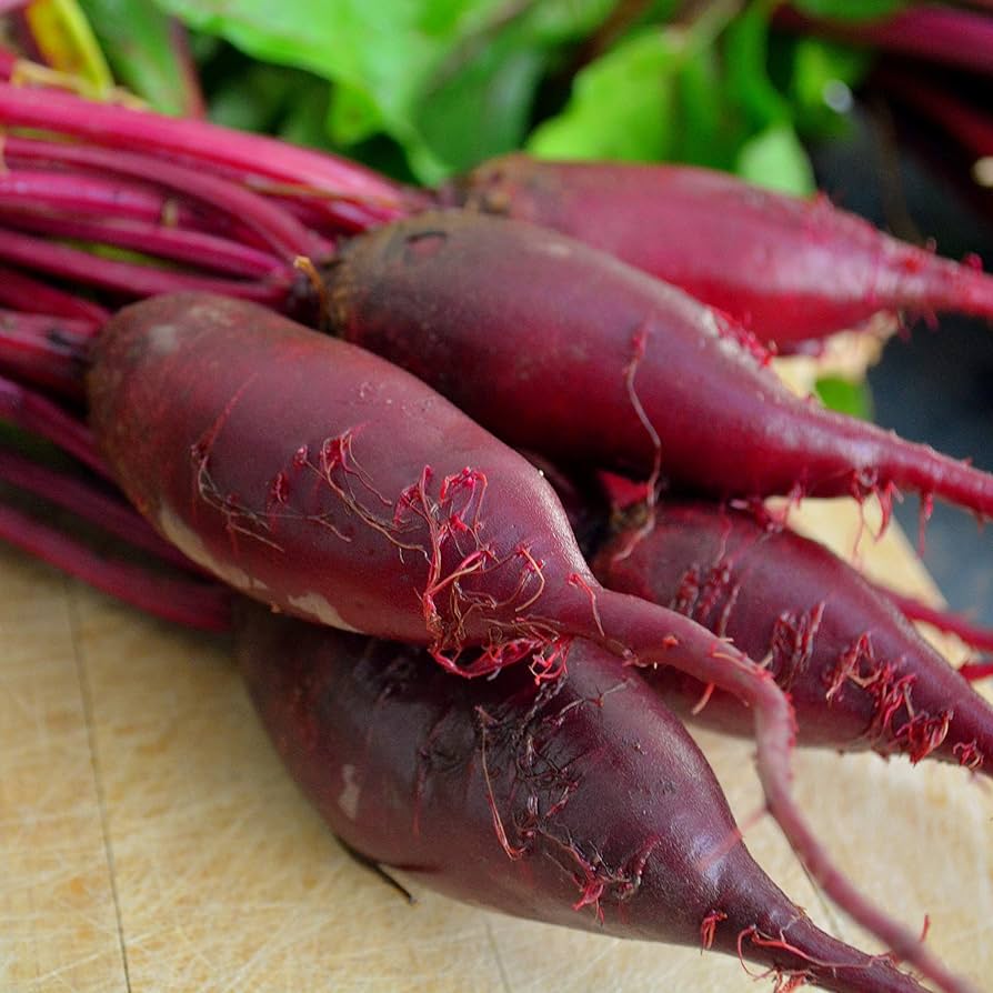 Cylindra beet seeds for planting long red heirloom root vegetables