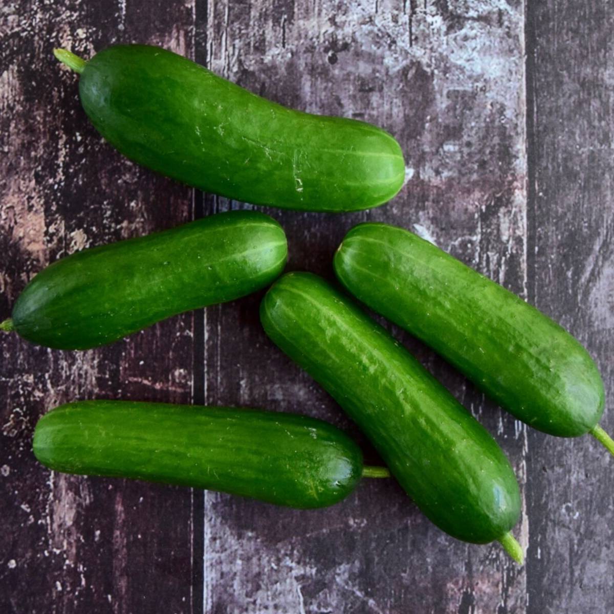 Cucumber- Lebanese