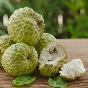 Custard Apple Seeds