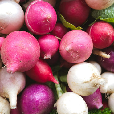 Easter Egg II – Radish Seed