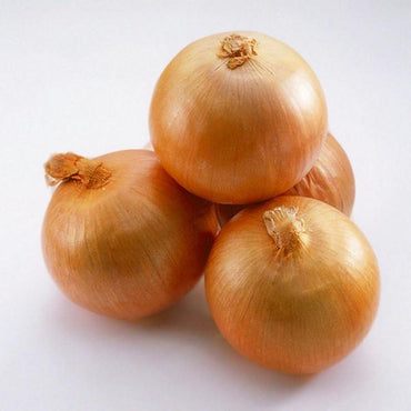 Giant Onion Seeds Vegetable Seed Kitchen Food Seasoner Potted Pl