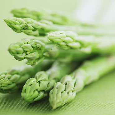 Healthy vegetable Seeds imported asparagus Seeds selling small f