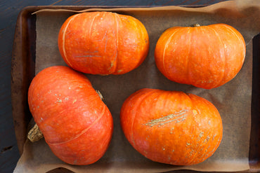 Sunshine – Organic Kabocha Squash Seeds