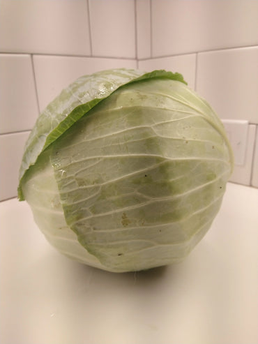 Kaitlin – Cabbage Seed