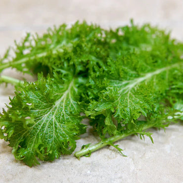 Wasabina Mustard Seeds for Planting - Heirloom and Non-GMO Garden Seeds