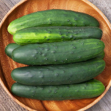 Marketmore 76 – Organic Cucumber Seed