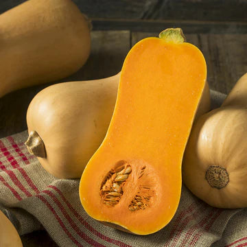 Pumpkin- Waltham Butternut