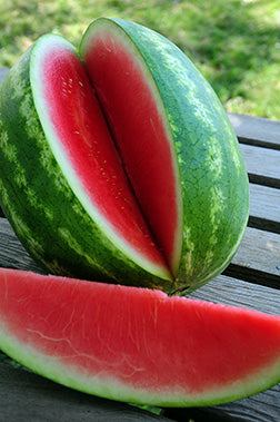 Sorbet – Watermelon Seed