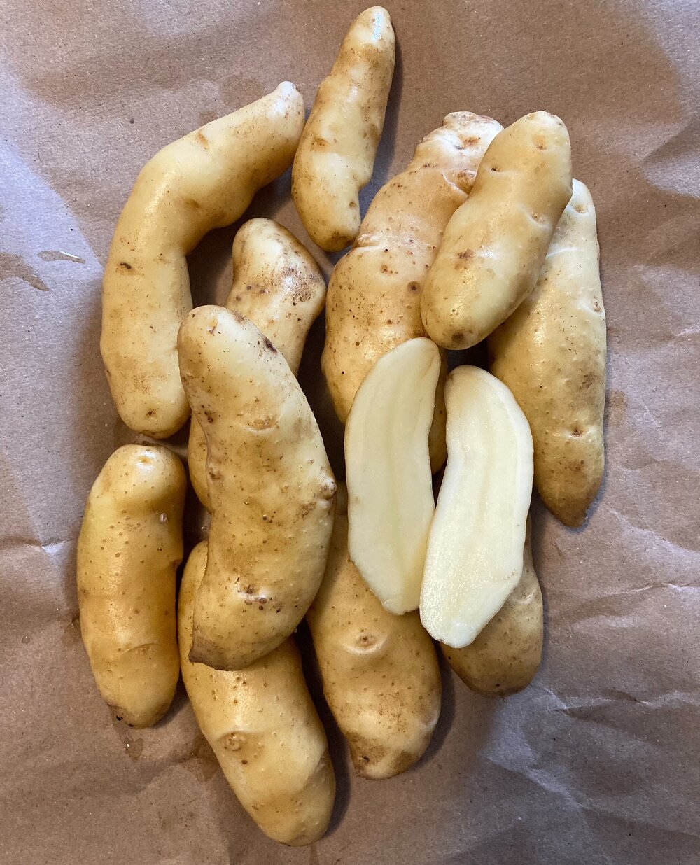 Russian Banana – Organic Seed Potatoes