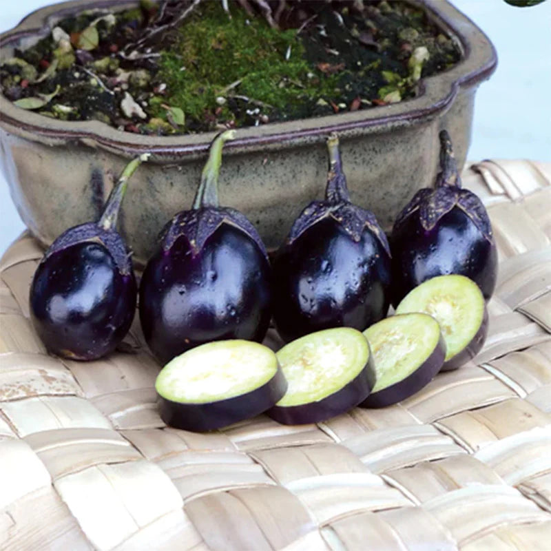 Patio Baby – Eggplant Seed