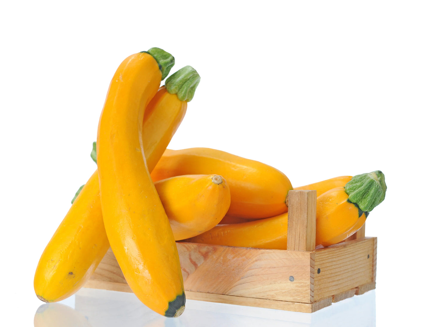 Golden Glory – Zucchini Squash Seed