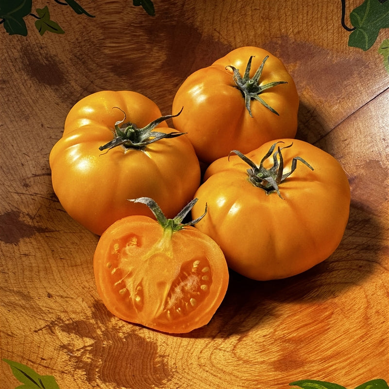 Big Orange Tomato Seeds for Planting - Heirloom and Non-GMO Seeds