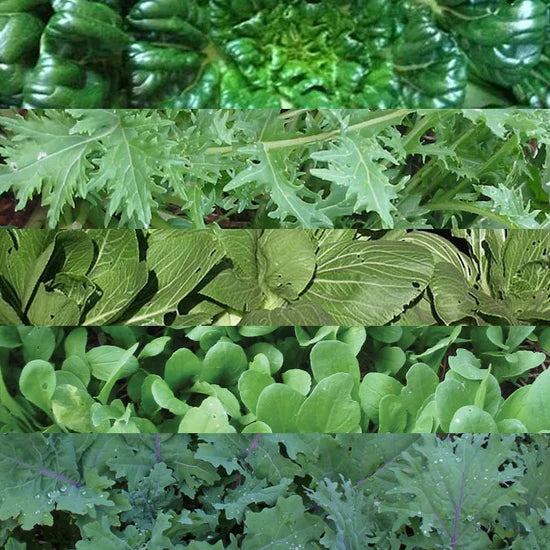 Stir-Fry Mix – Green Seed