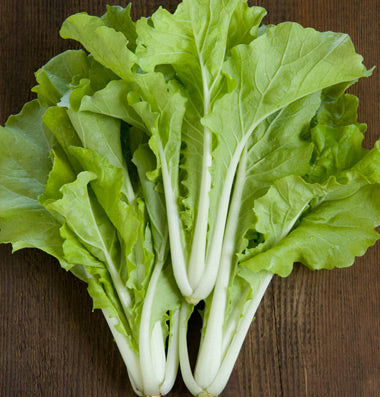 Fusion – Organic Lettuce Seed