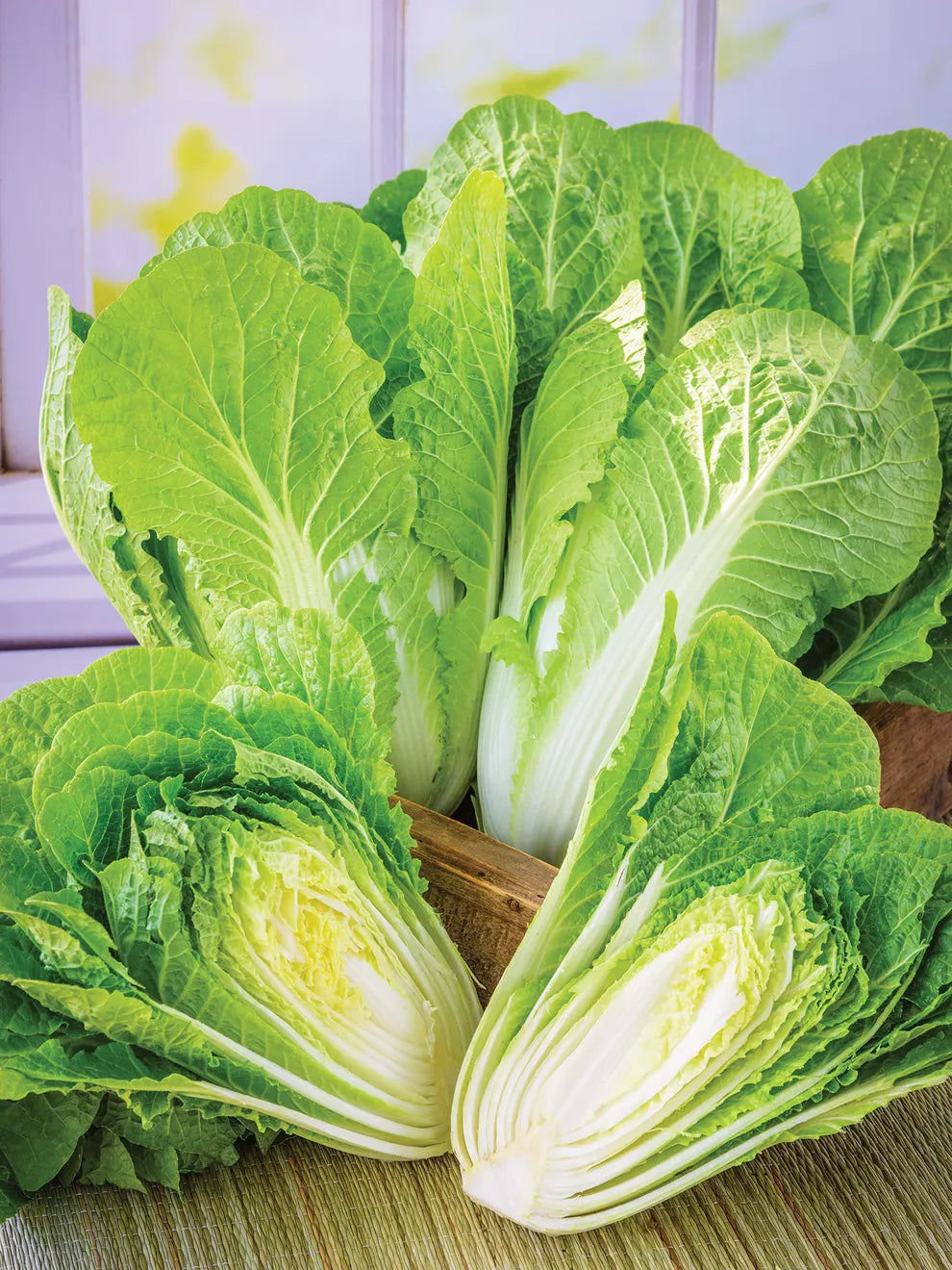Haku – Chinese Cabbage Seed