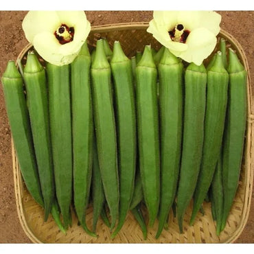 Okra Arka Anamika Vegetable Seeds