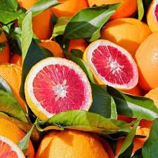 Blood Orange Fruit Seeds for Planting - Fast Growing Rich in Vitamin C Juicy GMO Free