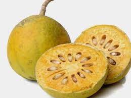 Aegle Marmelos Fruit Seeds - A Unique and Aromatic Fruit for Your Garden 100 pcs