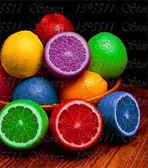 Multi-Colour Lemon Fruit Seeds for Planting - Heirloom & Non-GMO Seeds
