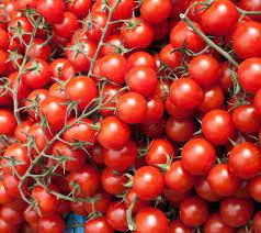 Heirloom Red Currant Tomatoes Seeds for Planting - Non-GMO Garden Seeds